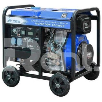 Welding generator TSS PRO DGW 3.0 250E-R for rent.-1