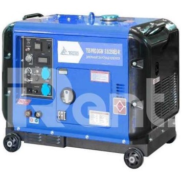 Сварочный генератор TSS PRO DGW 3.0 250ES-R Сварочный генератор TSS PRO DGW 3.0 250ES-R